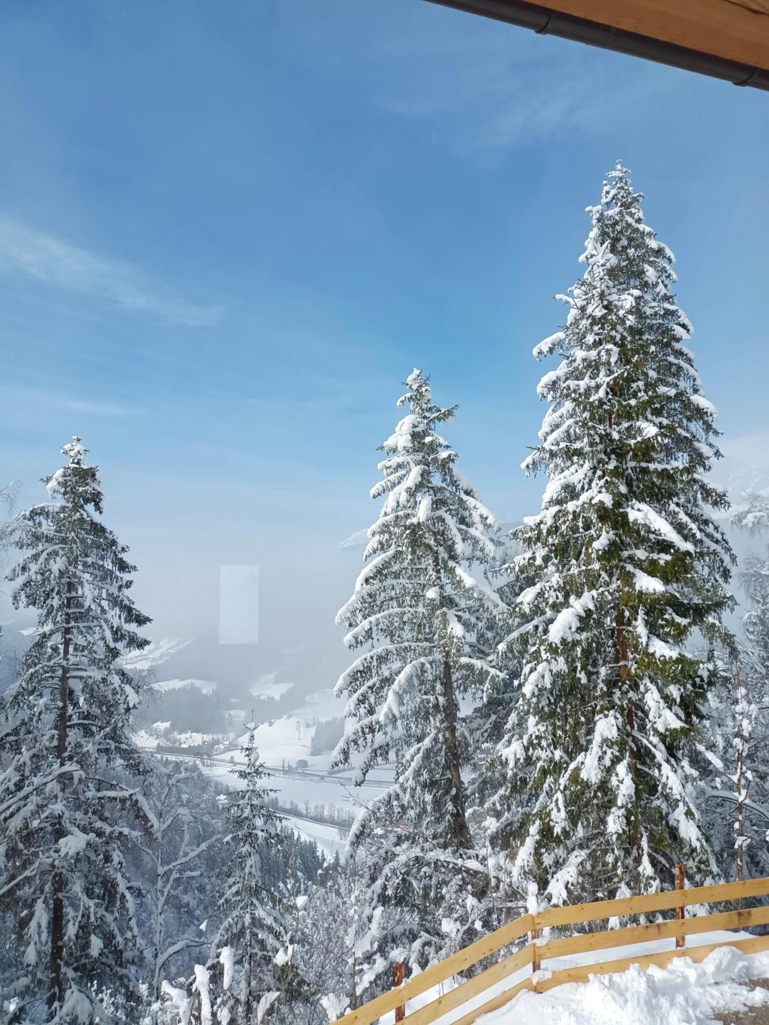 Chalet Leni Schladming Exteriör bild