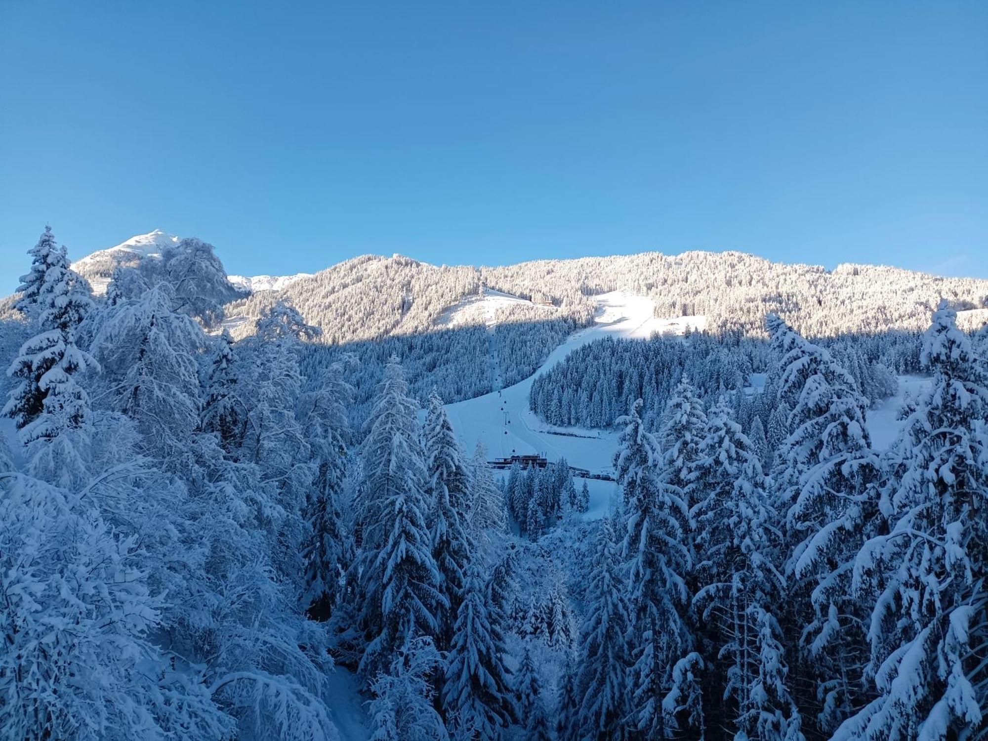 Chalet Leni Schladming Exteriör bild